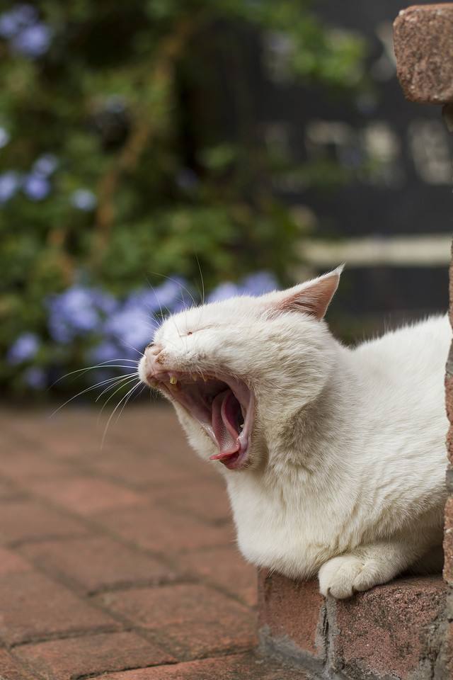 应对秋乏的几种方法上海按摩为您总结