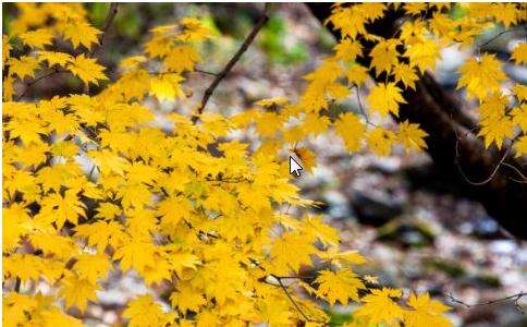 上海按摩告诉你秋季养生切记不能盲目的进行