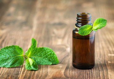 按摩耳朵对于防治各类疾病有很好的帮助